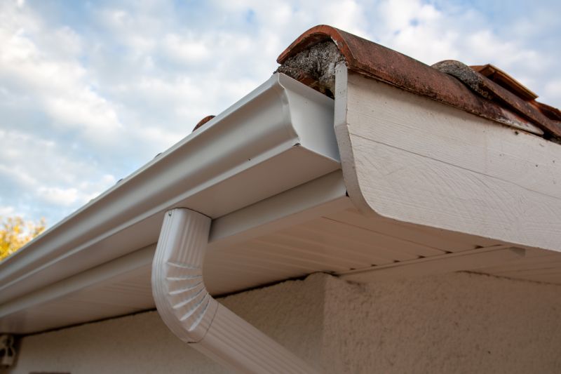 Gutter Maintenance